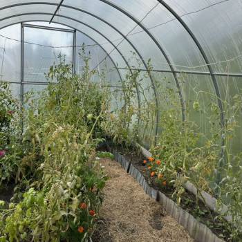 Продается Дом, 15 м²