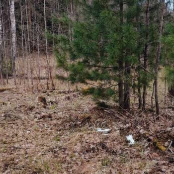 Продается Участок, 1500 м²