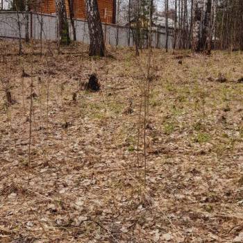 Продается Участок, 1500 м²