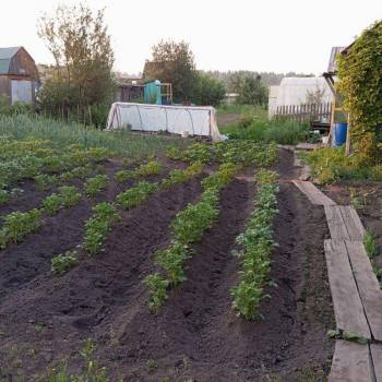 Продается Участок, 400 м²