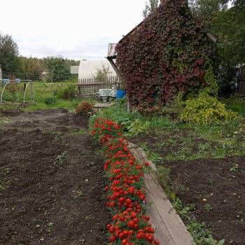 Продается Участок, 400 м²