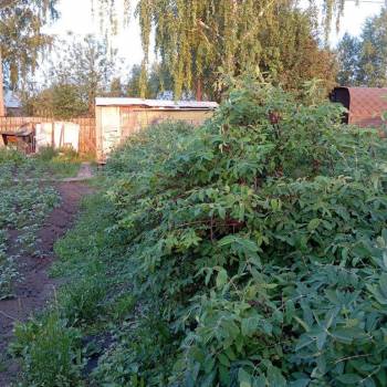 Продается Участок, 400 м²