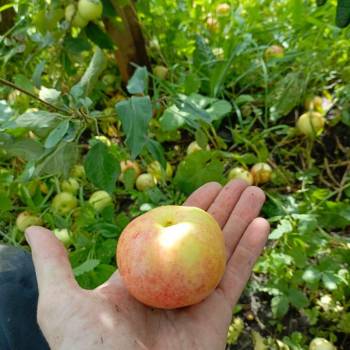 Продается Дом, 68 м²