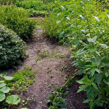 Продается Участок, 600 м²