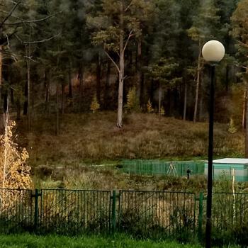 Сдается 1-комнатная квартира, 26 м²