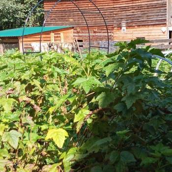 Продается Дом, 90 м²