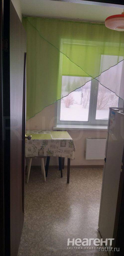 Фотография №4