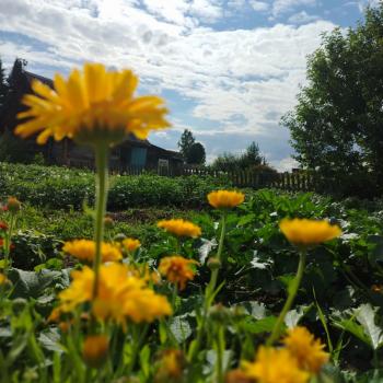 Сдается Дом, 30 м²