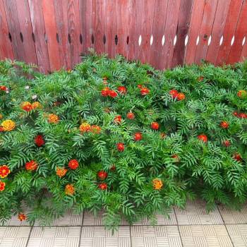 Продается Дом, 72 м²