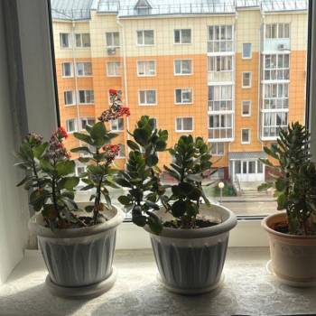 Продается 1-комнатная квартира, 37 м²