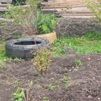 Продается Дом, 48 м²