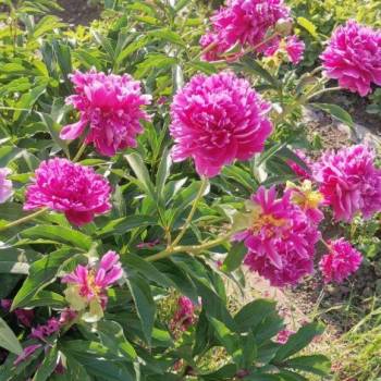 Продается 3-х комнатная квартира, 48 м²