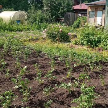 Продается Участок, 920 м²