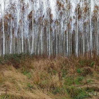 Продается Участок, 1200 м²