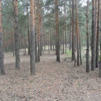 Продается Участок, 2500 м²