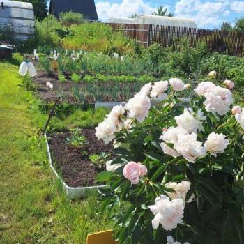 Продается Участок, 800 м²