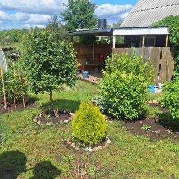 Продается Участок, 800 м²