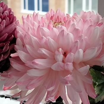 Продается 3-х комнатная квартира, 68 м²