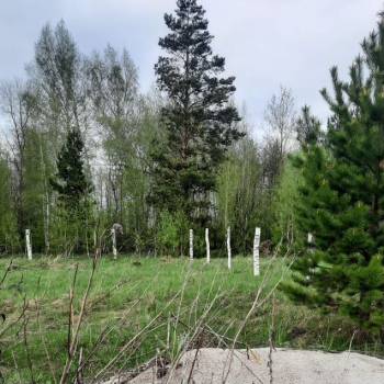 Продается Участок, 1000 м²