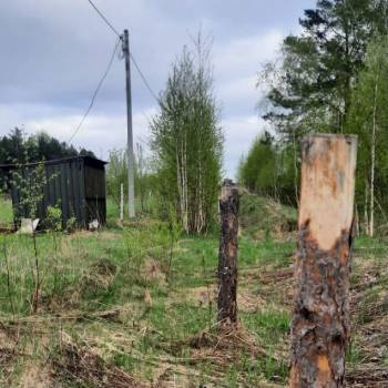 Продается Участок, 1000 м²