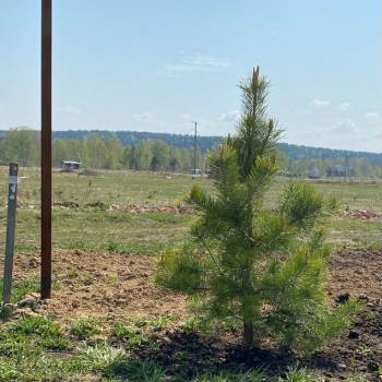 Продается Участок, 1000 м²