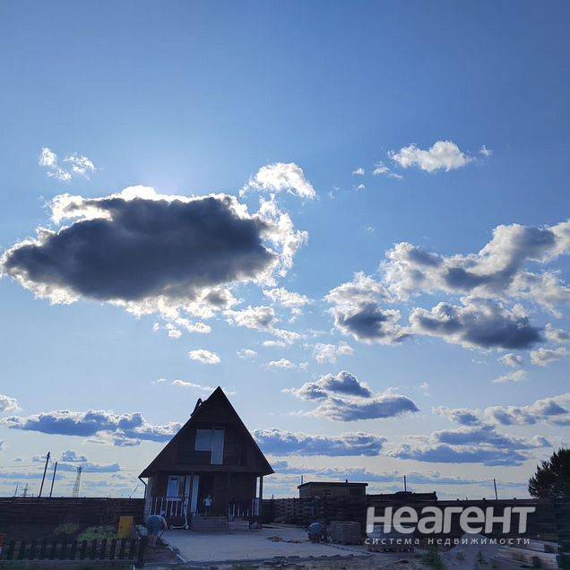 Фотография №5