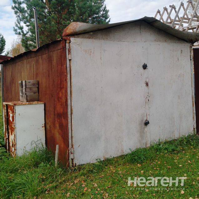 Фотография №3