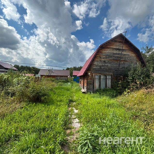 Фотография №2