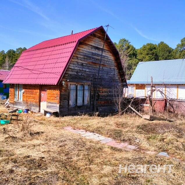 Фотография №4