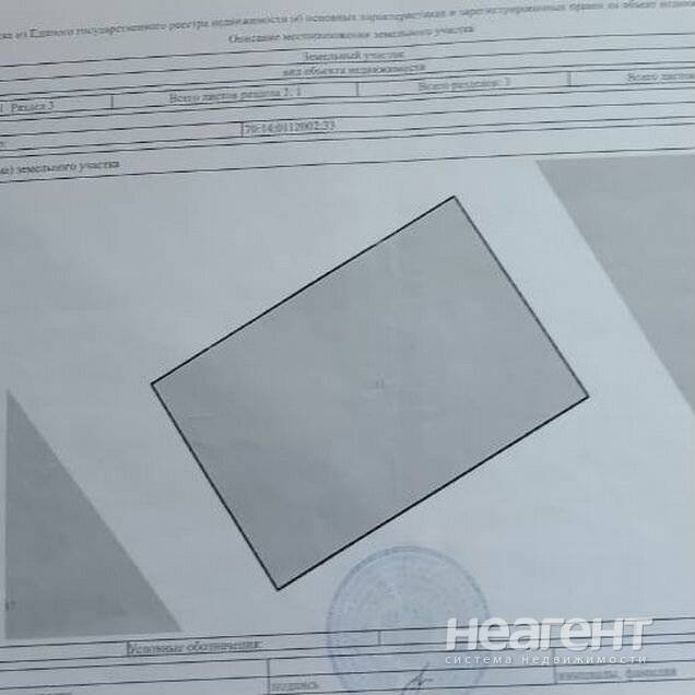 Фотография №5