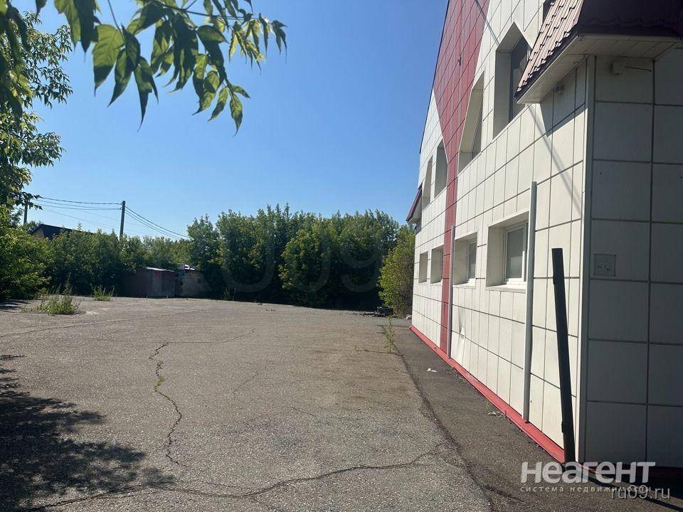 Фотография №3