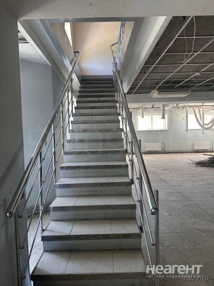 Фотография №5