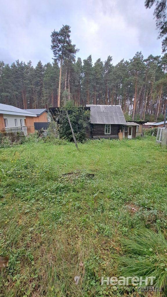 Продам земельный участок, село Тимирязевское, Старо-Трактова, собственник