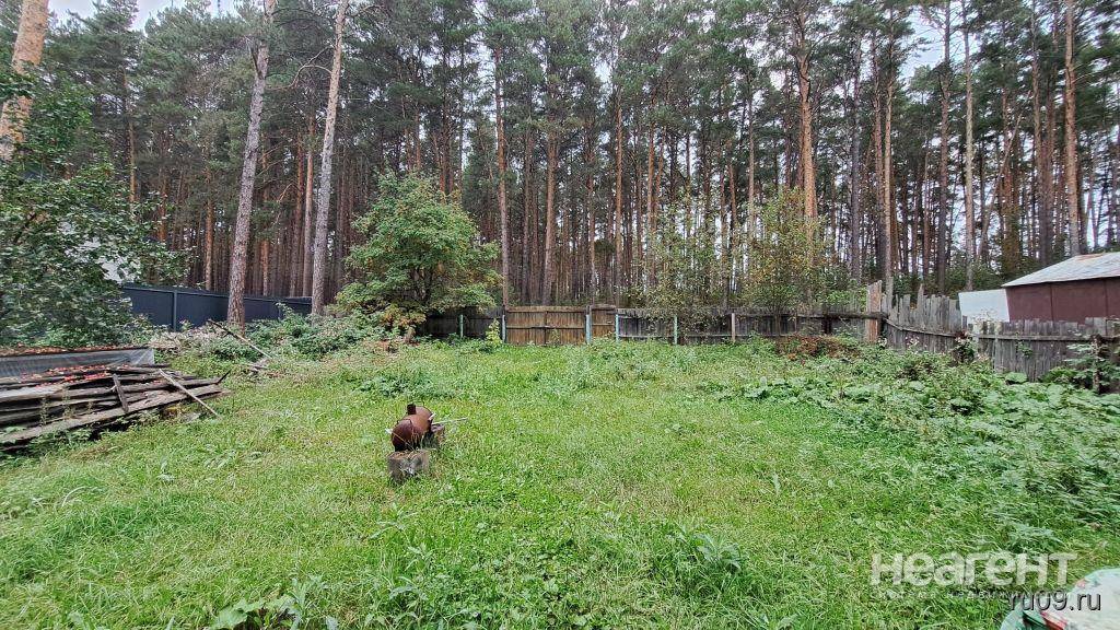 Фотография №2