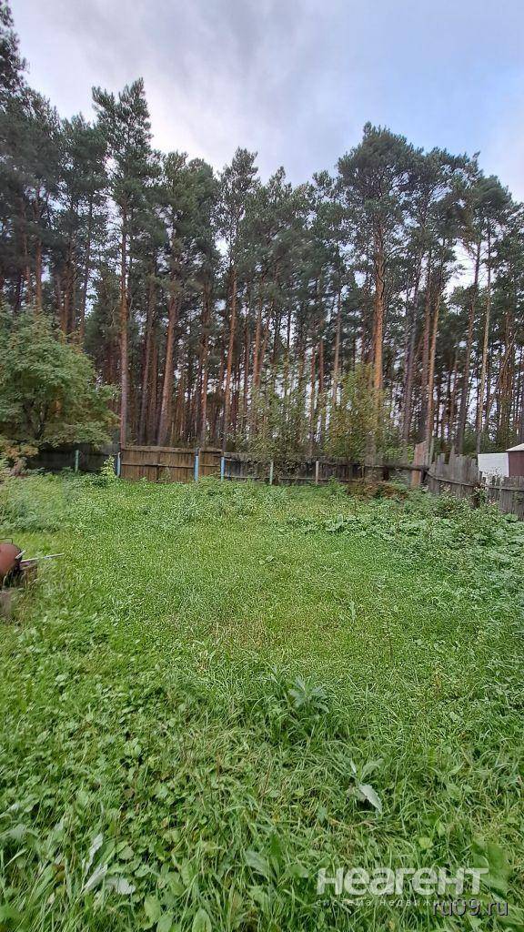 Фотография №3