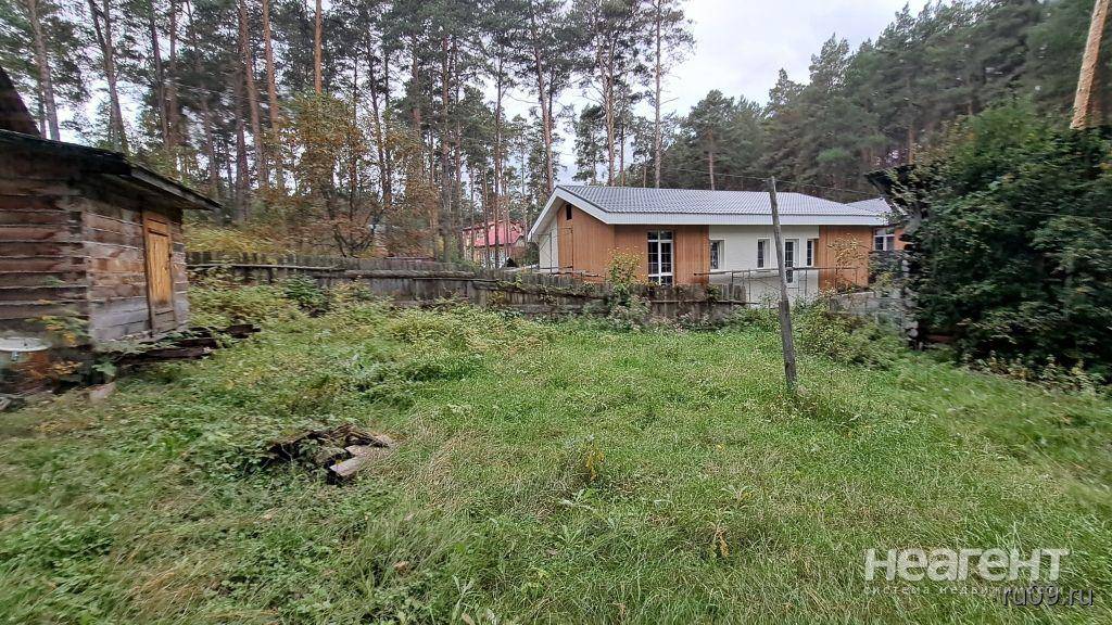 Фотография №4