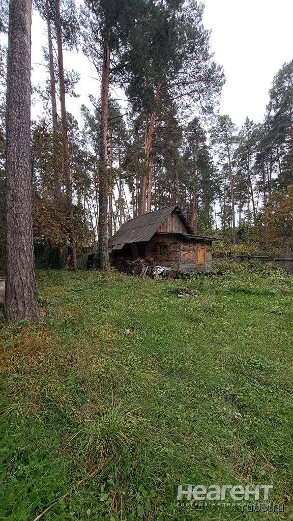 Фотография №5