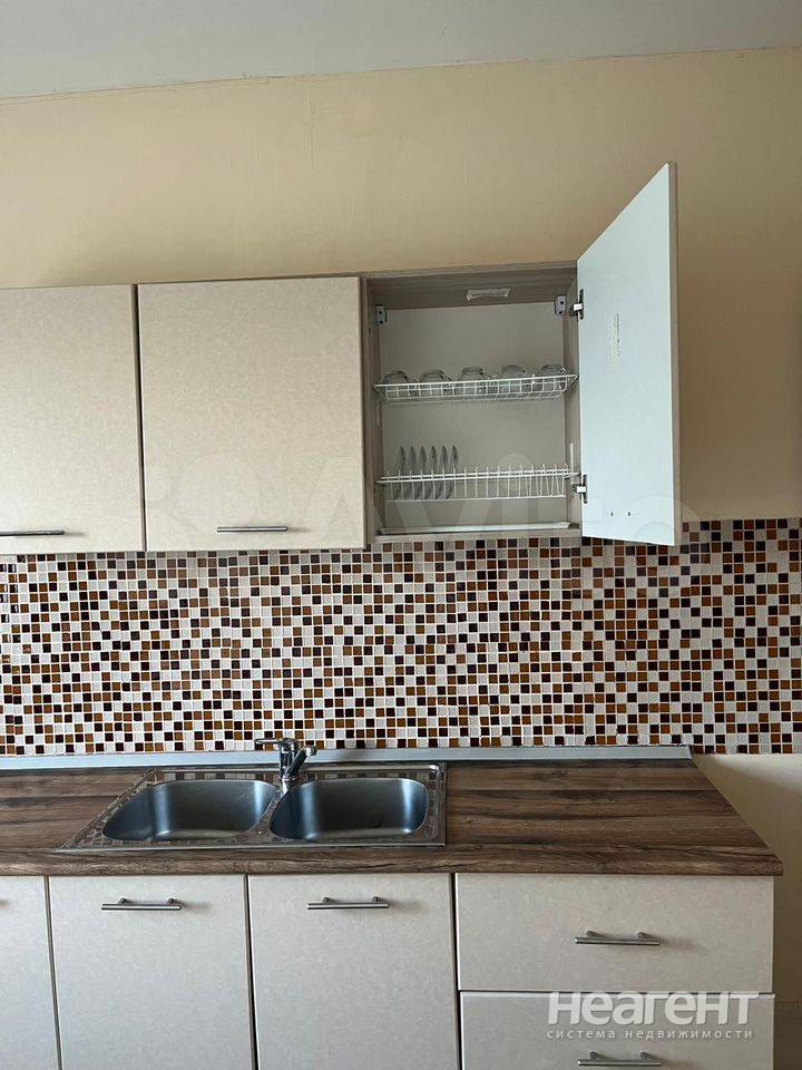 Фотография №5