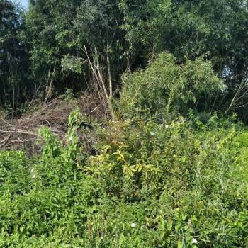 Продается Участок, 1200 м²