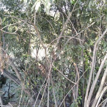 Продается Участок, 1200 м²