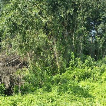 Продается Участок, 1200 м²