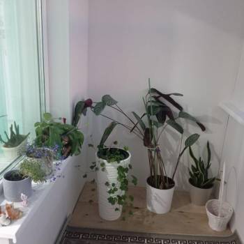 Продается 3-х комнатная квартира, 79 м²