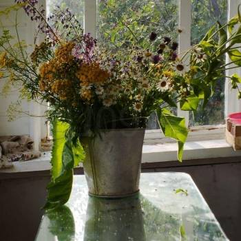 Продается Участок, 600 м²