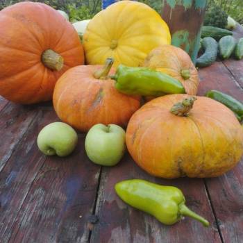 Продается Участок, 600 м²