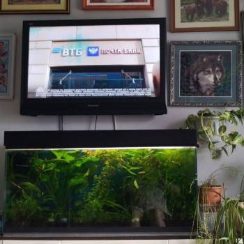 Продается 1-комнатная квартира, 17,2 м²