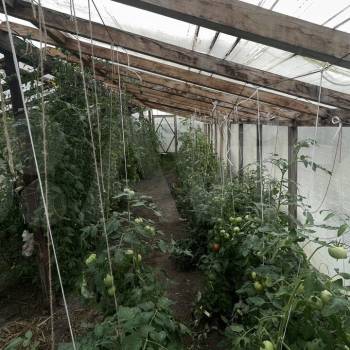 Продается Дом, 50 м²