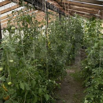 Продается Дом, 50 м²