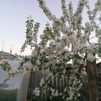 Продается Дом, 60 м²