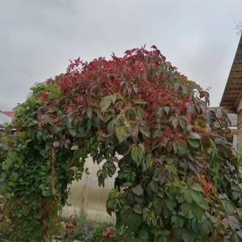 Продается Дом, 60 м²