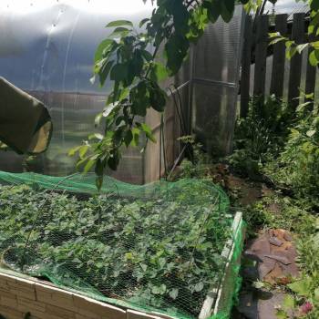 Продается Дом, 60 м²